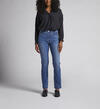 Vivie High Rise Straight Leg Pull-On Jeans, , hi-res image number 0